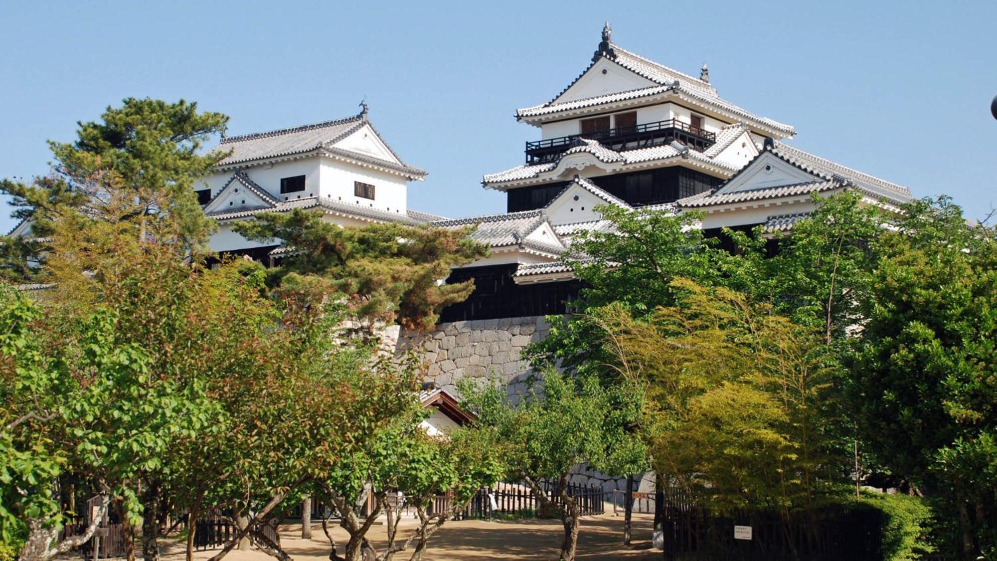 Toyoko Inn Matsuyama Ichibancho Exteriér fotografie